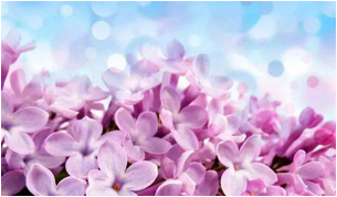image002.png