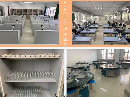 1586652974289.png blob.png